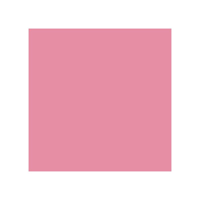 Cricut 2007705 Rollo de vinilo de termotransferencia liso, Rosa, 305 mm x 610 mm 1 Cricut 2007705 Rollo de vinilo de termotransferencia liso, Rosa, 305 mm x 610 mm 1