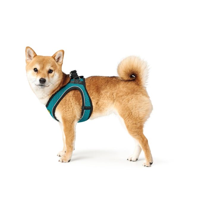 Arnés para Perro Hunter Hilo-Comfort Turquesa Talla XS (35-37 cm) 6