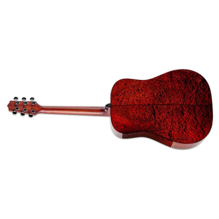 Takamine FT340BS Dreadnought Guitarra Acústica Tapa Abeto Sólido, Fondo y Aros Sapele Figurado, Natural Brillante, Preamplificador CTF-2N 1