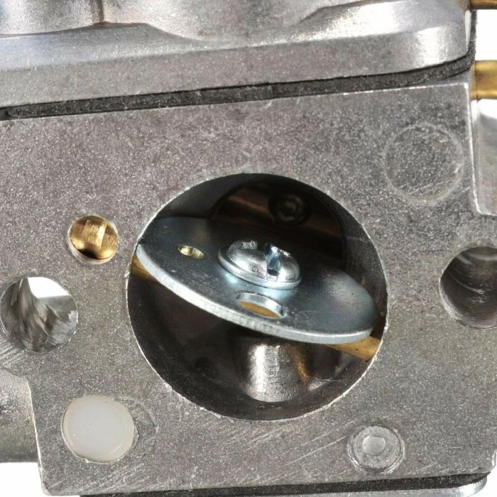 Reloj Mujer Just Cavalli JC1L220M0215 (Ø 32 mm) 5