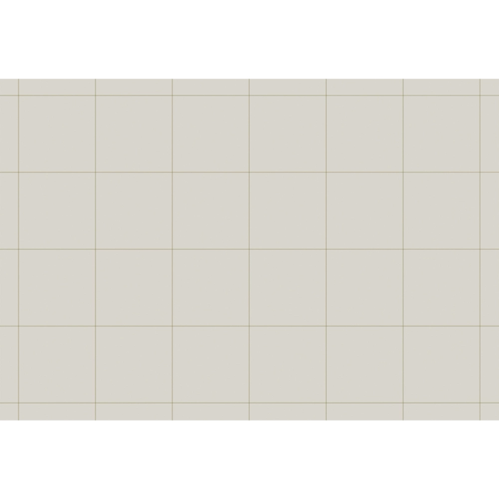 Nobo Bloc Congreso Papel Reciclado Cuadriculado/Liso 650x950 mm 50 Hojas 60g/m2 Pack 2 Unidades 4 Nobo Bloc Congreso Papel Reciclado Cuadriculado/Liso 650x950 mm 50 Hojas 60g/m2 Pack 2 Unidades 4