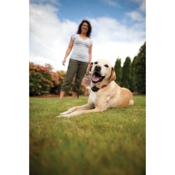 Petsafe Cerdo19-15394 Radio Valla Antifuga Inalámbrica para Perros 1 Petsafe Cerdo19-15394 Radio Valla Antifuga Inalámbrica para Perros 1