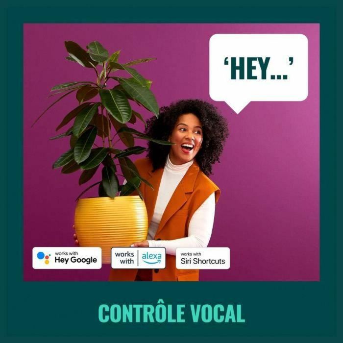 Wiz WIZ8720169076181 Aplique Conectado Exterior Clásico 1 Wiz WIZ8720169076181 Aplique Conectado Exterior Clásico 1