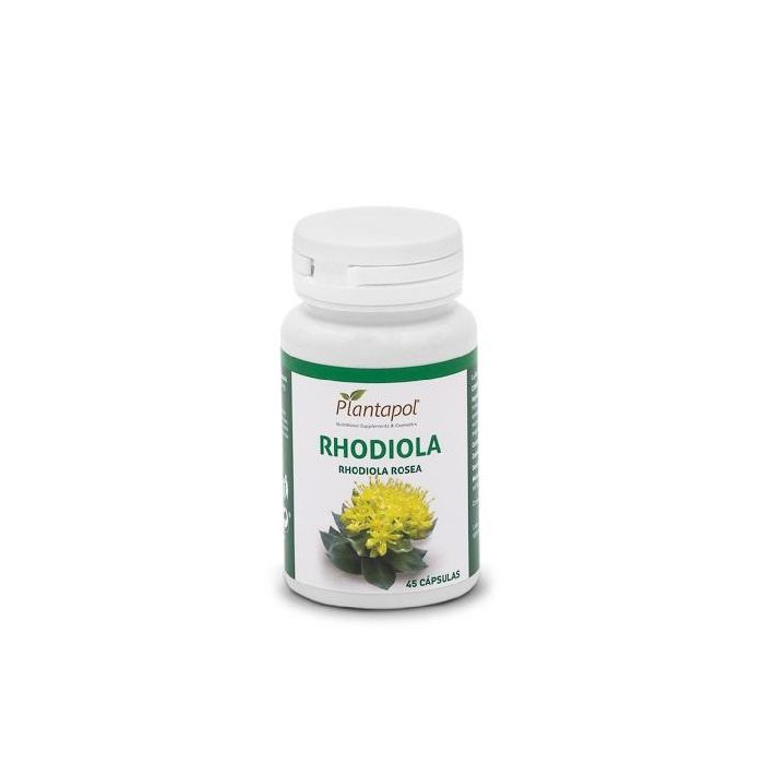 Rhodiola Rhodiola