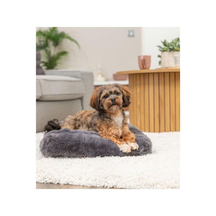 Cama para Perro Trixie Elli Gris oscuro 60 x 45 cm 2 Cama para Perro Trixie Elli Gris oscuro 60 x 45 cm 2