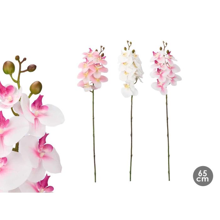 Ibergarden Rama Orquidea 65 cm Surtidos Blanco Rosa Verde Plastico Cemento (Set de 48)