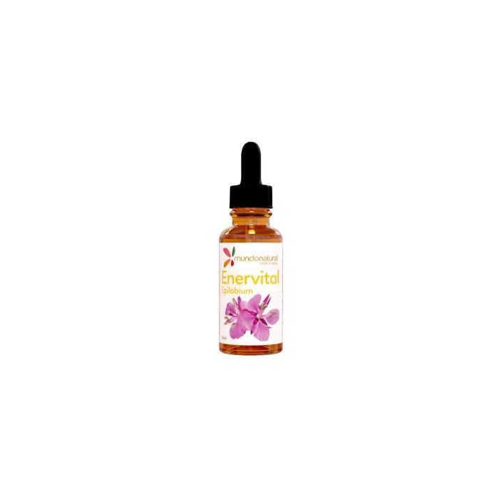 Enervital Epilobium Parviflorum 50 Ml Enervital Epilobium Parviflorum 50 Ml