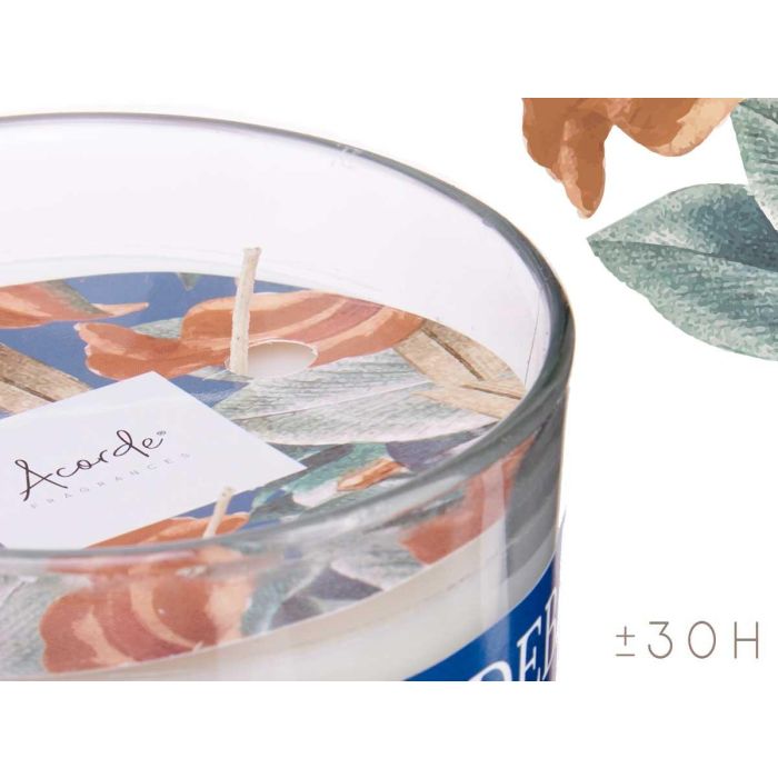 Vela Vaso C Tapa Dorada Nenufar E Higo Dulce Acorde 12X8CM (6 Unidades) 3 Vela Vaso C Tapa Dorada Nenufar E Higo Dulce Acorde 12X8CM (6 Unidades) 3