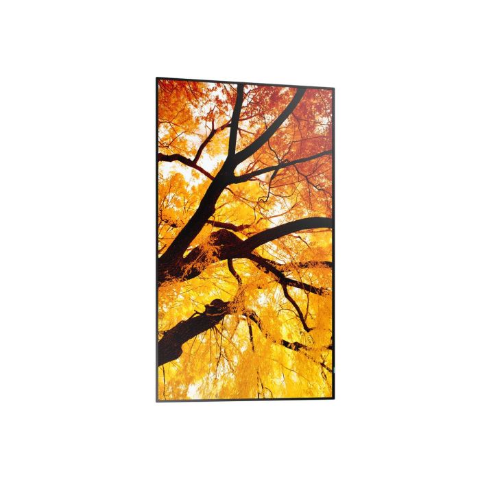 Monitor Videowall Sharp 60006053 4K Ultra HD 42,5" 9 Monitor Videowall Sharp 60006053 4K Ultra HD 42,5" 9