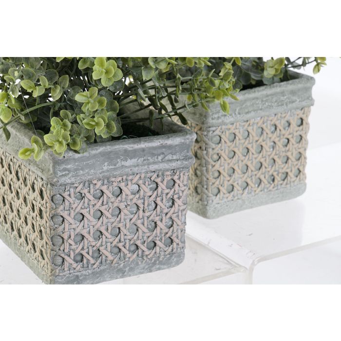 Planta DKD Home Decor Verde Verde Musgo 19 x 27 x 19 cm (12 Unidades) 1 Planta DKD Home Decor Verde Verde Musgo 19 x 27 x 19 cm (12 Unidades) 1