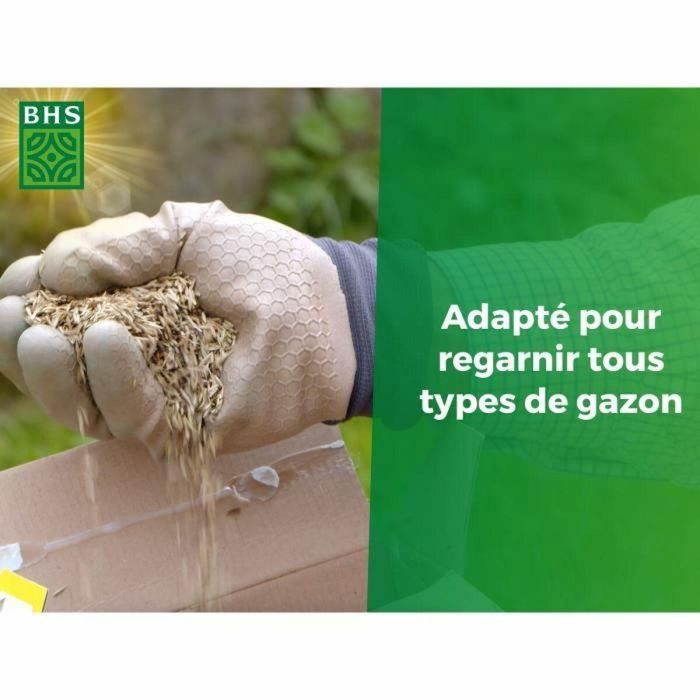 BHS BHS3366670400562 Regenerador de césped 1 kg 4 BHS BHS3366670400562 Regenerador de césped 1 kg 4