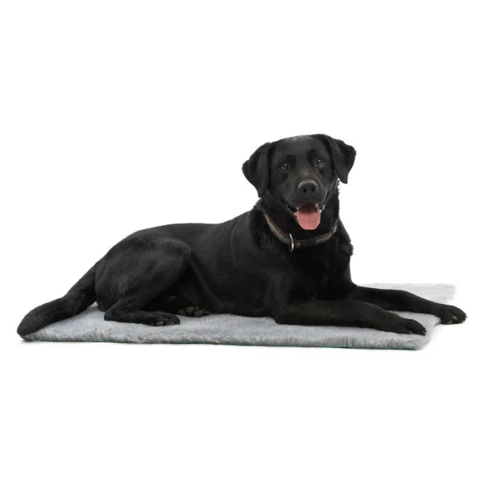 Vet Bed Kruuse 102 X 76 cm, Gris