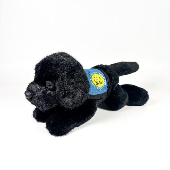Deqube 939D00249 Peluche Labrador Negro 21 Cm con Chaleco, para +0 meses, apoya Fundación Bocalán Deqube 939D00249 Peluche Labrador Negro 21 Cm con Chaleco, para +0 meses, apoya Fundación Bocalán