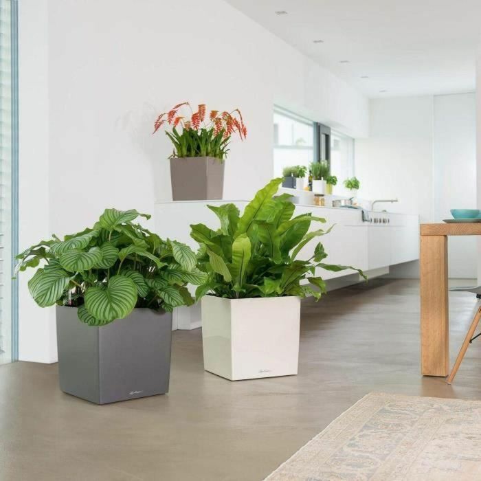 Lechuza LEC4008789165602 Maceta Cube Premium 50 blanco brillante resistente a la intemperie y a los rayos UV