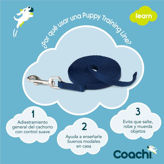 Coachi Correa de Adiestramiento Puppy Training Line para Cachorros y Perros Azules 2.5M Nylon Ligera - Ayuda a Evitar Comportamientos No Deseados en Casa 3 Coachi Correa de Adiestramiento Puppy Training Line para Cachorros y Perros Azules 2.5M Nylon Ligera - Ayuda a Evitar Comportamientos No Deseados en Casa 3