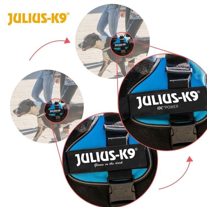 Arnés para Perro Julius K9 Power Negro L/XL 2 4