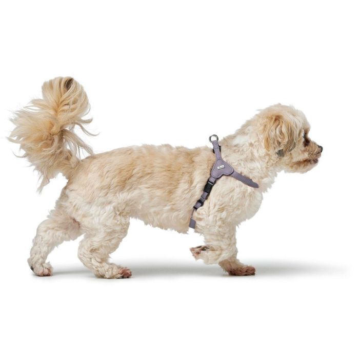 Arnés para Perro Hunter SOHO MINI Lila XS/S 2 Arnés para Perro Hunter SOHO MINI Lila XS/S 2