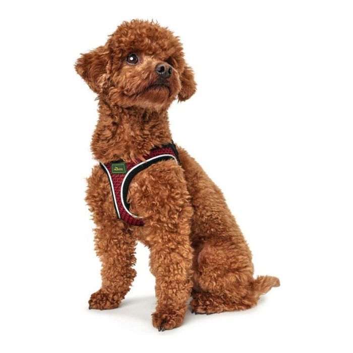 Arnés para Perro Hunter Hilo-Comfort Rojo Talla S/M (48-55 cm) 1 Arnés para Perro Hunter Hilo-Comfort Rojo Talla S/M (48-55 cm) 1