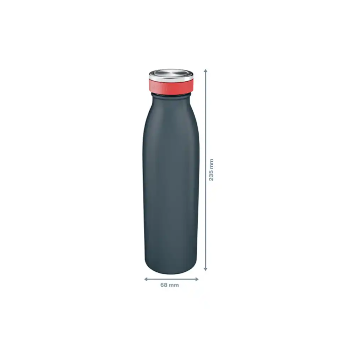 Leitz Botella portaliquidos Cosy 500 ml Gris 3