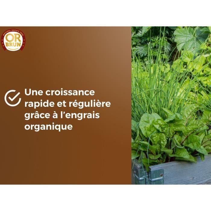 Tierra para hortalizas y plantas aromáticas - OR BRUN - OBRTARO6U - 6L - Crecimiento rápido 3 Tierra para hortalizas y plantas aromáticas - OR BRUN - OBRTARO6U - 6L - Crecimiento rápido 3