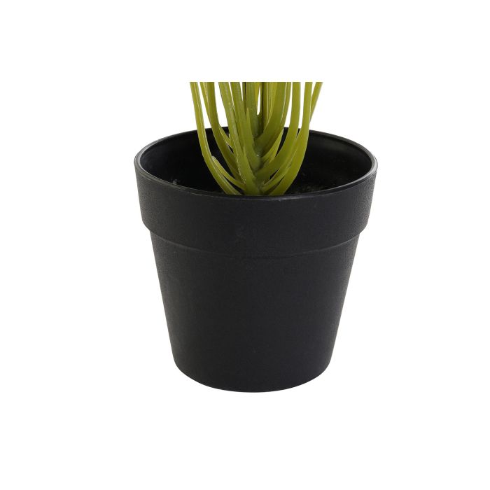 DKD Home Decor Planta Decorativa Artificial de Cala Verde y Negra de 25x25x30 cm en PVC y PP 2