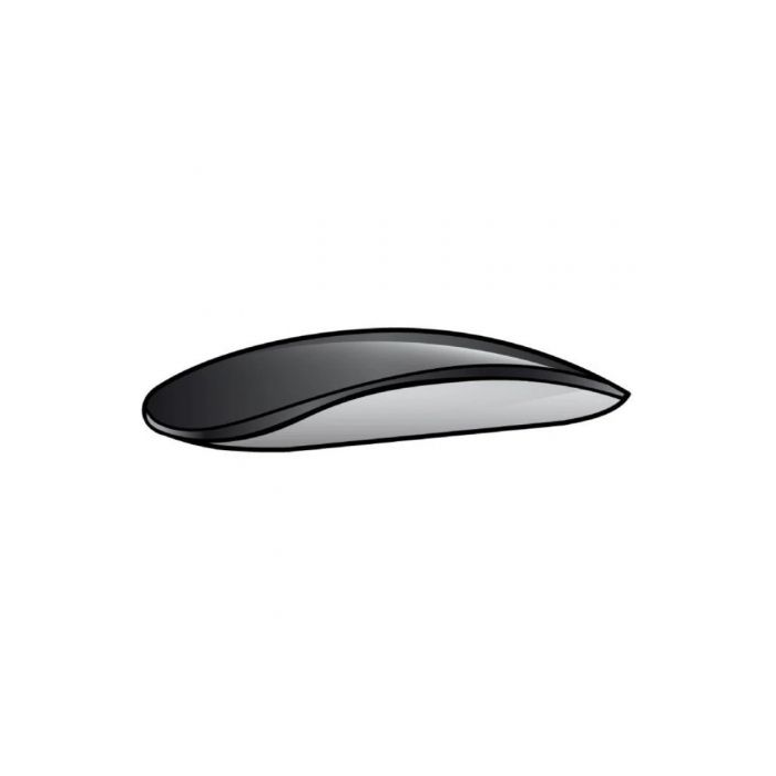 Apple Magic Mouse 2 / USB Tipo-C / Negro