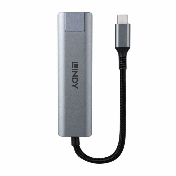 Hub USB LINDY 43422 Gris 2