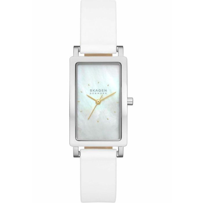 Reloj Mujer Skagen SKW3141 Reloj Mujer Skagen SKW3141