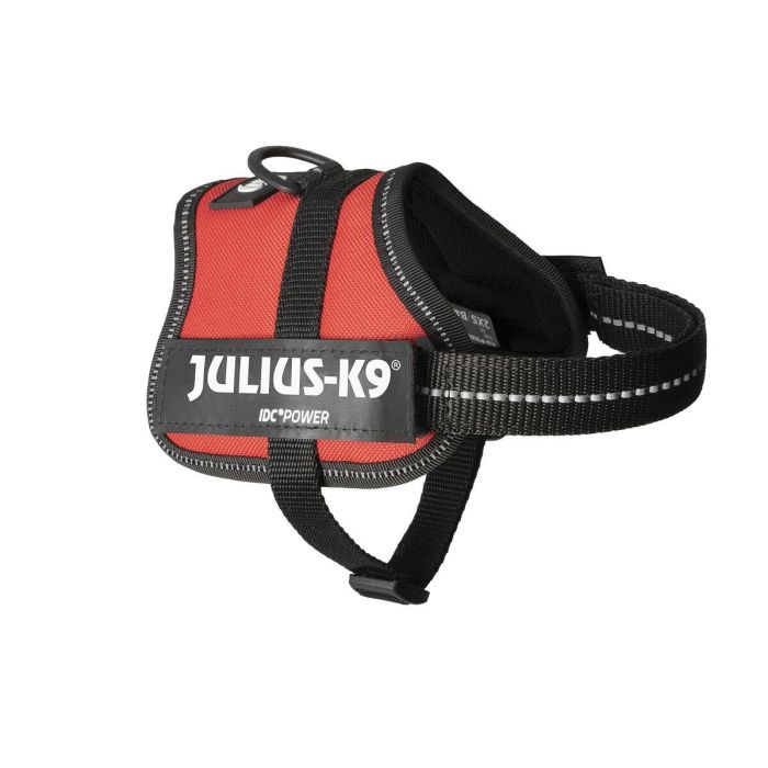 Arnés para Perro Julius K9 Power Rojo 2 Baby 2 (XS/S) 3 Arnés para Perro Julius K9 Power Rojo 2 Baby 2 (XS/S) 3