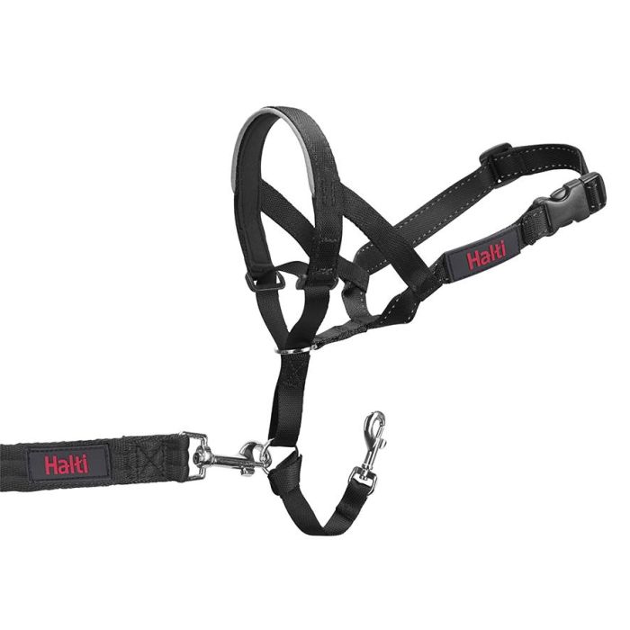 Halti Bozal Headcollar Negro Talla 0 Anti-tirones Acolchado | Para Bichon Frise, Maltés, Yorkshire Terrier 0 Halti Bozal Headcollar Negro Talla 0 Anti-tirones Acolchado | Para Bichon Frise, Maltés, Yorkshire Terrier 0