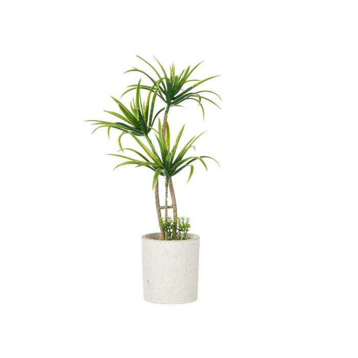 Maceta Cemento Mediana Palmera Verde Ibergarden 22X41CM (12 Unidades) 1 Maceta Cemento Mediana Palmera Verde Ibergarden 22X41CM (12 Unidades) 1