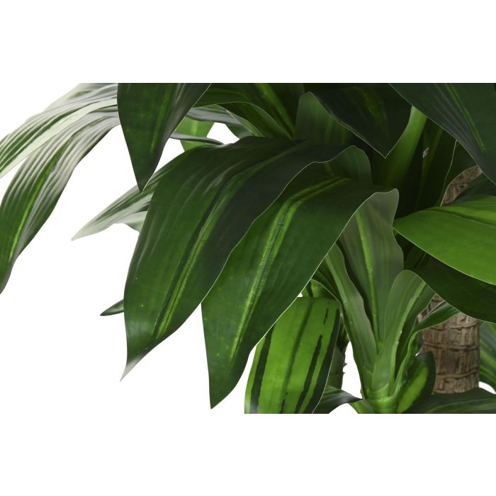 Planta Tropical DKD Home Decor Verde Marron 80 x 180 x 80 cm (2 Unidades) 1