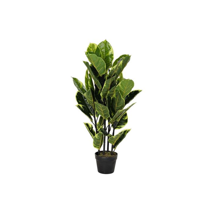 DKD Home Decor Planta Artificial Urban Verde - Planta Decorativa para Interior 90 cm Alto, 40 cm Ancho y Largo, Material PE y Hevea DKD Home Decor Planta Artificial Urban Verde - Planta Decorativa para Interior 90 cm Alto, 40 cm Ancho y Largo, Material PE y Hevea