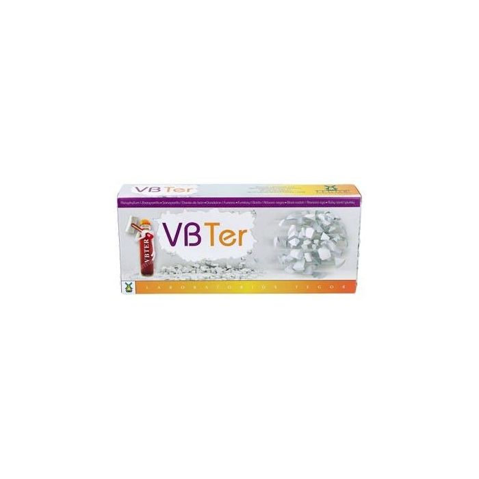 Tegor Vb Ter Rompepiedra: Suplemento Natural para el Mantenimiento Renal con Diente de León y Zarzaparrilla, 20 Viales Agbio