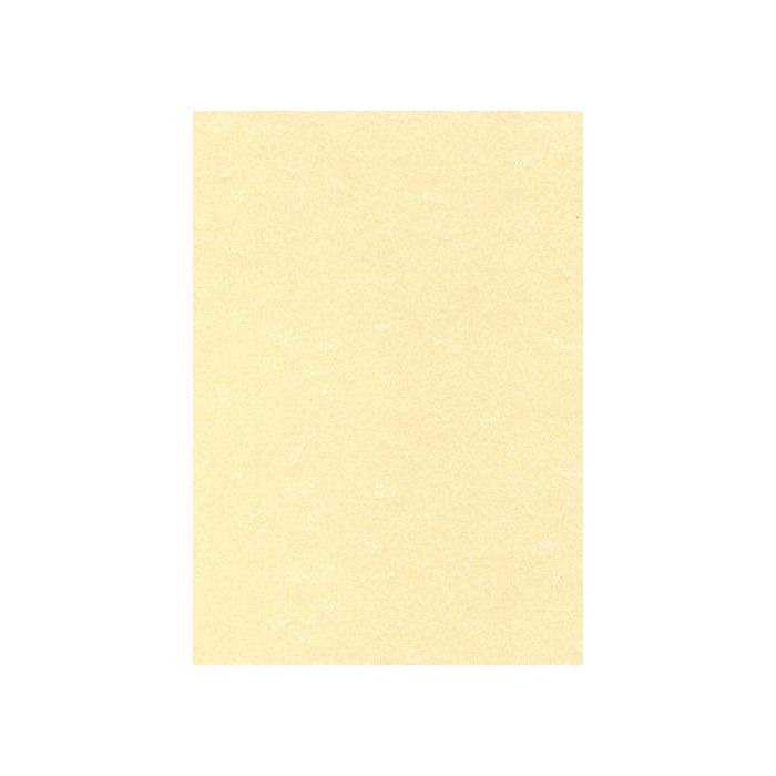 Papel Pergamino A4 Apli 95G 100H Champan