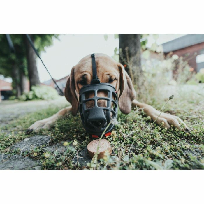 Hunter Bozal Albury 3 para Perro con Protección contra Cebos Envenenados - Medidas: Hocico Máx. 6.3cm, Cuello Máx. 62cm, Color Negro