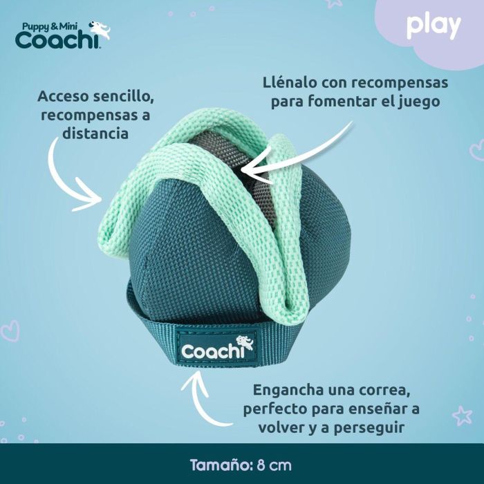 Arnés para Perro Coachi 3