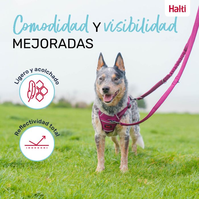 Halti Anatomy Correa Multiposición para Perros, Doble Enganche, Reflectante, Acolchado Neopreno, Turquesa, Talla L (2 metros, hasta 55kg) 1 Halti Anatomy Correa Multiposición para Perros, Doble Enganche, Reflectante, Acolchado Neopreno, Turquesa, Talla L (2 metros, hasta 55kg) 1