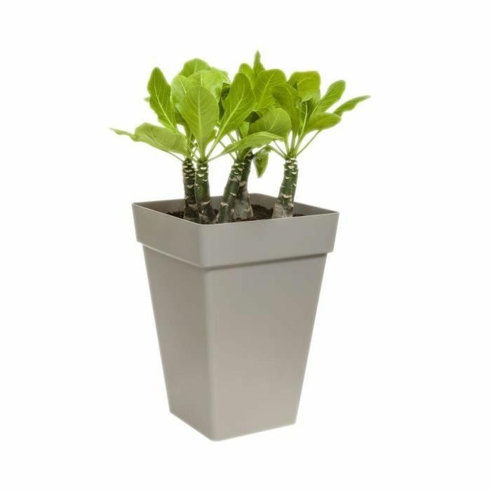 Elho LOF8711904230395 Maceta Cuadrada Alta Loft Urban 30 cm Blanca 100% Reciclada 0 Elho LOF8711904230395 Maceta Cuadrada Alta Loft Urban 30 cm Blanca 100% Reciclada 0