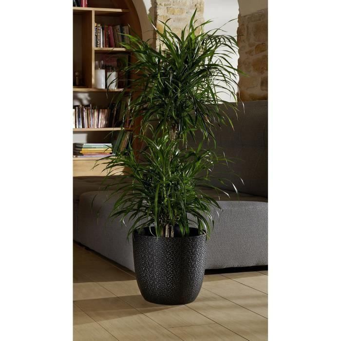 EDA Opal Chape Ø 29.5 cm - Volumen 14.8 L - Negro 1 EDA Opal Chape Ø 29.5 cm - Volumen 14.8 L - Negro 1