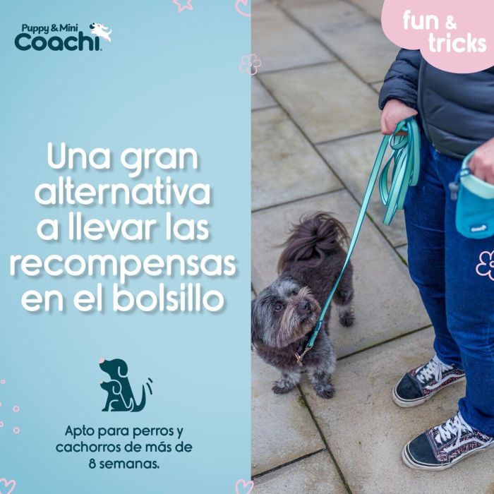 Arnés para Perro Coachi 2 Arnés para Perro Coachi 2