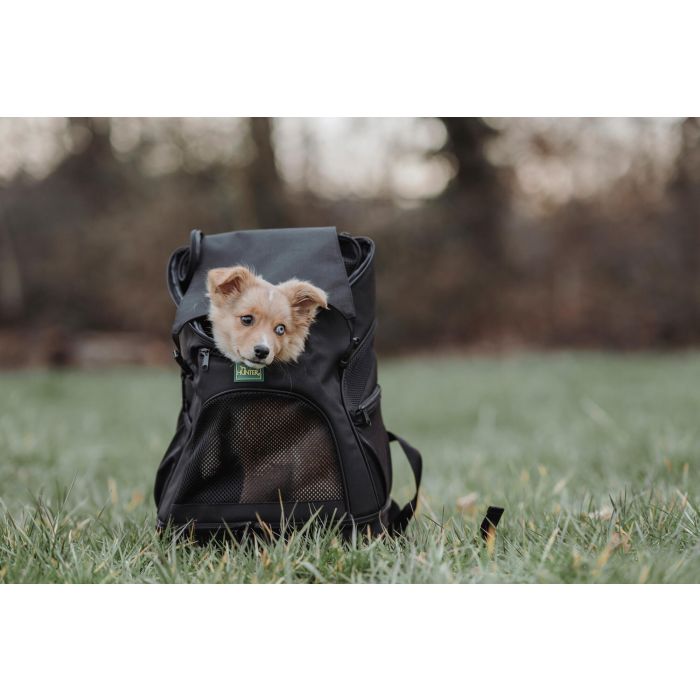 Hunter Mochila Miles para perros y gatos hasta 6.5 kg - Apta vuelos IATA, transpirable, equipaje de mano 30x22x45 cm 2