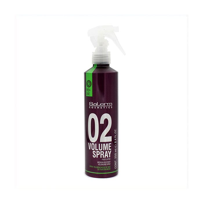 Spray para Dar Volumen Proline 02 Salerm 8420282038928 (500 ml)