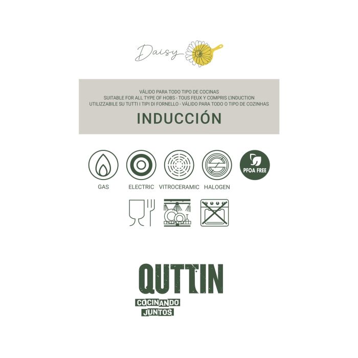 Inde Sarten 28 cm Aluminio Fundido Inducción Daisy Quttin (6 Unidades) 2