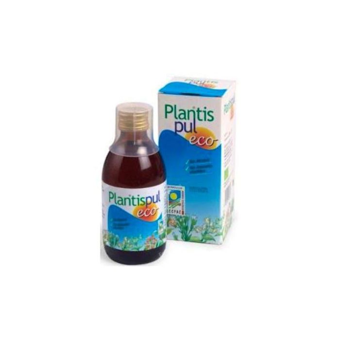 Plantispul Eco Jarabe Pectoral con Eucalipto, Gordolobo, Tomillo y Llantén para Resfriados y Tos 250ml