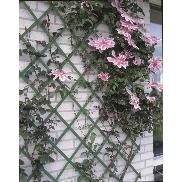 Nature Malla Elástica de Plástico Extensible Verde 50x150cm para Plantas Trepadoras con Kit de Fijación 1 Nature Malla Elástica de Plástico Extensible Verde 50x150cm para Plantas Trepadoras con Kit de Fijación 1