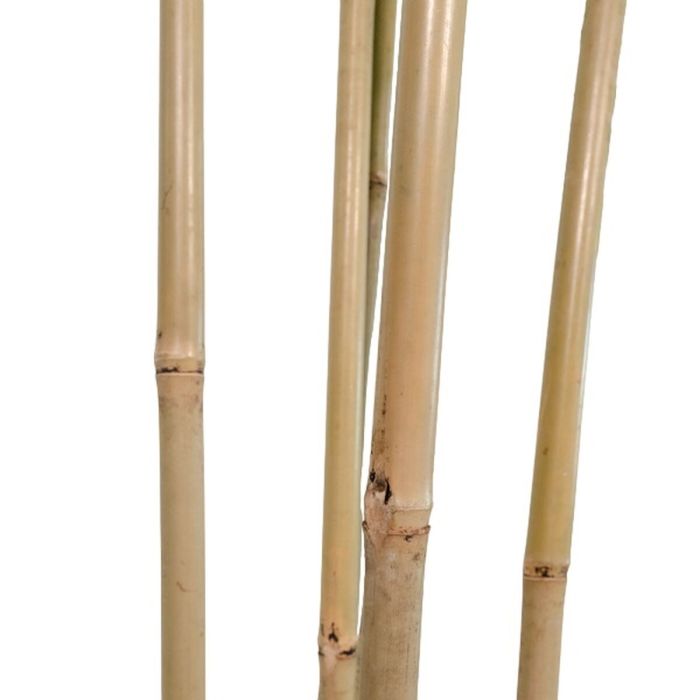 Árbol Home ESPRIT Poliéster Bambú 80 x 80 x 180 cm 3