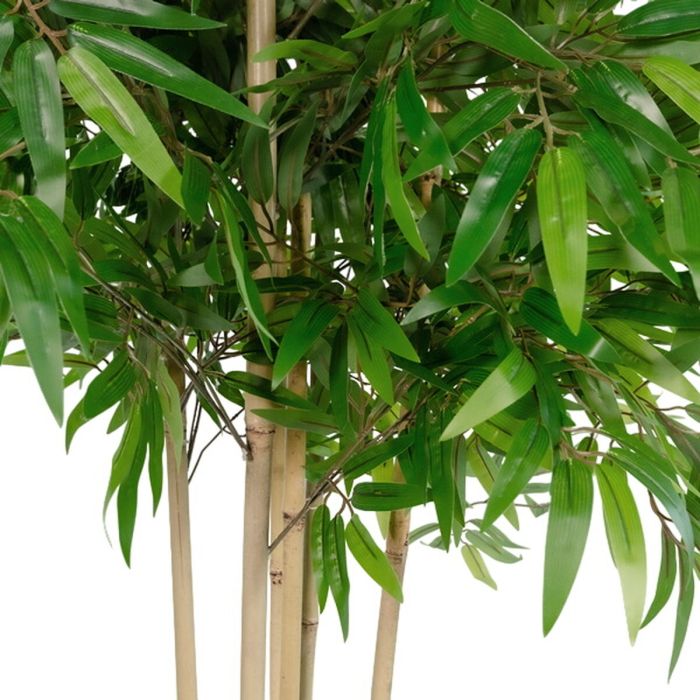 Árbol Home ESPRIT Poliéster Bambú 80 x 80 x 180 cm 1