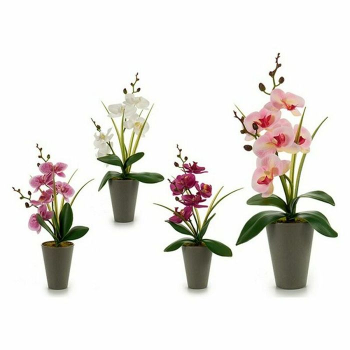 Planta Decorativa Orquídea Plástico 8 x 35 x 14 cm (12 Unidades) 1