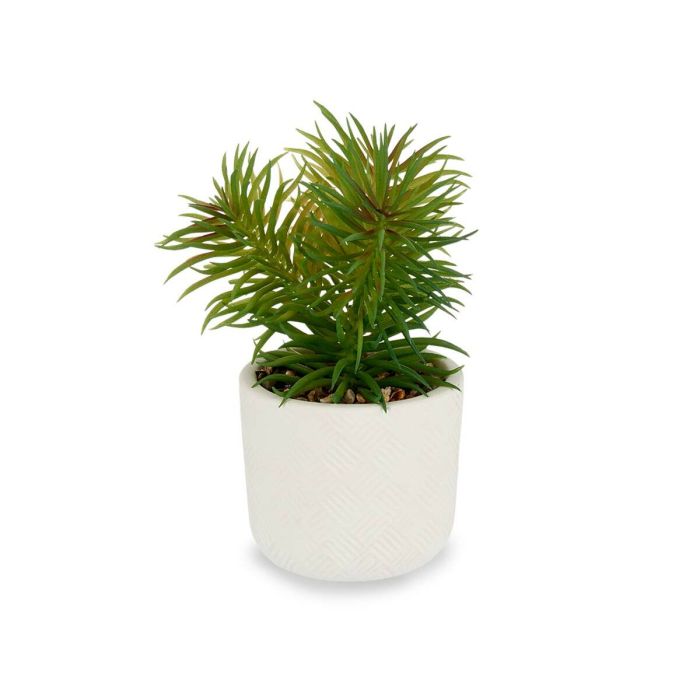 Planta Decorativa Blanco Verde (14 x 20 x 14 cm) (12 Unidades) 1